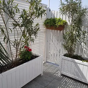 Citrus Boutique *** Баку